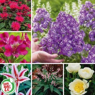 Fragrant Garden Collection Thumbnail